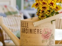 Family Hotel Electra 2*