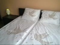 Cherni Vrah Apartment