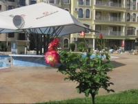 Apartment Summer Dreams