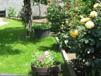 Guest House Mihalevi