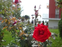 Panorama Fort Noks CTS