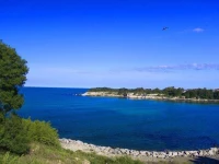 Apartment Mina in Tzarevo