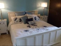 Oasis Aruba Oceanfront #14