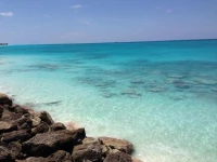 Villa 210 at Resorts World Bimini 5*