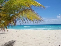 Beach Guest House Cleverdale