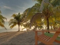 Coconut Row Guesthouse