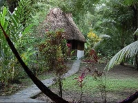 Bullet Tree Riverside Cabanas San Ignacio