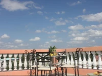 Rainforest Haven Inn