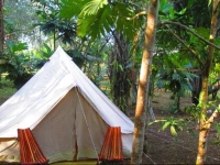 Chaya Maya Jungle Lodge