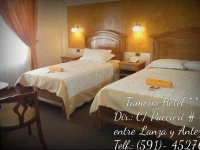 Tamesis Hotel 3*