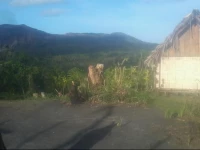 Yasur View Bungalows