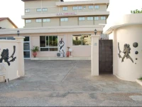 Global Summer Hotel Accra 3*