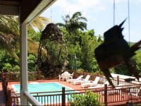 Oasis de Grande Anse