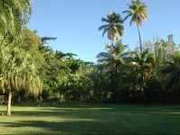 Insolite Ara Wakan / Ma cabane