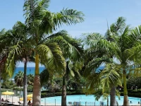 Pierre & Vacances Residence Premium Les Tamarins