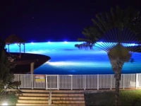 Loiseau du Paradis Studio