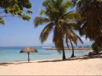 Nid tropical pour deux