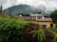 Koi Rejuvenece 2 Guest House