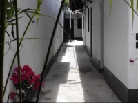 Hotel San Judas Tadeo II