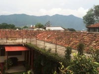 Three Monkeys Guesthouse