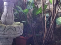 El Portal Hotel Coban