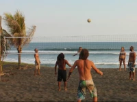 The Driftwood Surfer