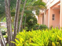 Bougainvillea Apartments