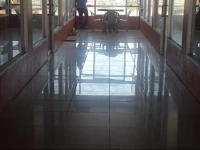 Aleman Tours & Hostel