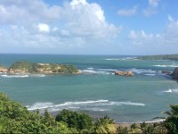 Caribbean Blue Calibishie