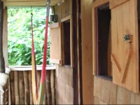 Natty Tropical Valley