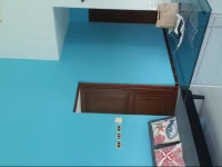 Apartment Caribbean Relax