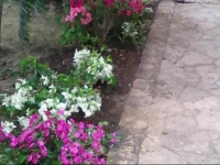 Residence Paradise Hotel