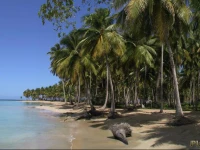 Apartamento Josefina Las Terrenas