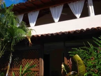 Tropical Beach Garden