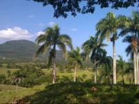 Camping National Park close to Beach