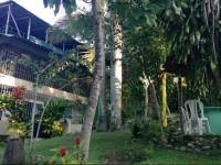 Real Dominican Republic Discovery