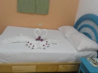 Hotel Odette Colonial