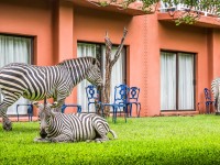 Avani Victoria Falls Resort 3*