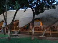 Olgas The Italian Corner