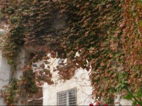 Prestige Hotel Suites