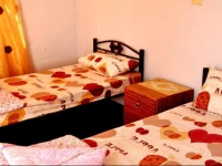 Real Bedouin Home Petra