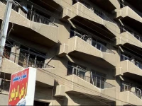 Flowers Land Hotel and Restaurant 3*