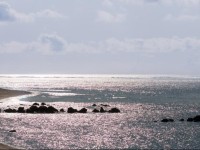 MГ¶venpick Hotel Beirut