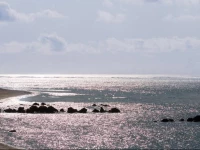 MГ¶venpick Hotel Beirut