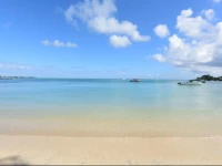 AO Luxury Residence by BARNES