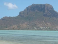 Rosemary (Le Romarin)