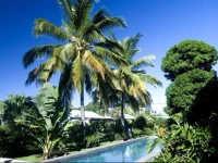 Marlin Creek Residence