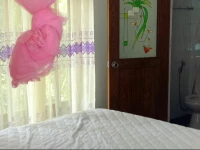 Shine Paradise Villa