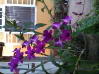 Colonial House Ambalangoda