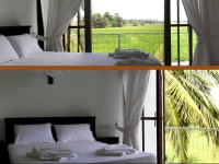 Heaven Upon Rice Fields